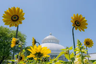A first look at the New York Botanical Garden's floral tribute to Vincent Van Gogh