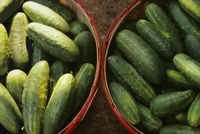 A salmonella outbreak sickens dozens, prompting a cucumber recall. Here's what to do