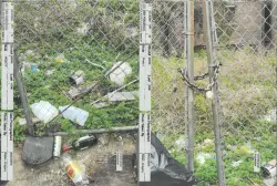 NYC seeks court orders to access infested properties in war on rats