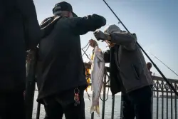 San Francisco Bay fish are contaminated with levels of ‘forever chemicals’ that could harm anglers