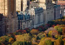 Early Addition: R.I.P. Upper West Side deer