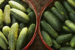 A salmonella outbreak sickens dozens, prompting a cucumber recall. Here's what to do