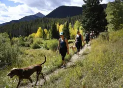 Meadow Creek Trail to be closed throughout the summer for repairs